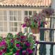 Casa Celsa-Barbantes, Santiago de Compostela (foto 6)