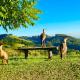 Piscina e paz nas montanhas de Gonçalves, Gonçalves - Foto 4