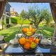 New Istrian Experience by Istrian apartments Koper, Koper (fotografie 8)