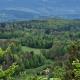 Majcia, Jelenia Góra (foto 3)