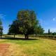 Upper Reach Spa Cottage, Henley Brook (foto 2)