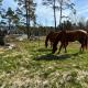 Cabin retreat in the archipelago, Djurhamn (photo 2)