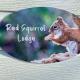 Red Squirrel Lodge Sandown - Foto 10