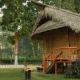 The Hoollock Heritage, Mariāni - Foto 4