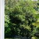 Surfdale Serenity - Bed & Breakfast, Oneroa (zdjęcie 10)