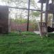 Meghamala Bed and Breakfast, Kolthare - Fotografie 7