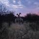 ILANGA Lodge & Game Reserve, Kwarriekraal (Foto 7)