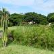 Ancha's Oasis, Maputo (photo 8)