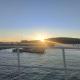 El nido de lu, Vilagarcia de Arousa (photo 10)