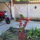 Rose Gardens, Vršac (photo 7)