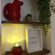 Cozy Studio in Palermo Hollywood, Buenos Aires - Zdjęcie 6