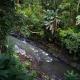Ubud zen river house, secluded tranquil retreat in nature - Fotografie 5
