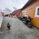 Fishermans Apartment A13, Nautnes - 写真 2