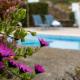 Charming Holiday House - House & Apartment, Biscoitos