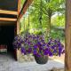 Wellness in the Woods - 4p TinyHouse met privé sauna & hottub, Diessen (foto 8)