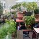 Aux Terrasses de la Lune, Paris - Foto 6