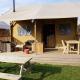 Luxe Glamping Met eigen badkamer voor 5 Personen Bashful, Behelp - Fotografie 1