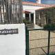 Les Agapanthes