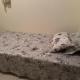 Guest room for girls or family only, Dubaj - Zdjęcie 6