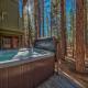 Peoples Choice at Heavenly - Pets Hot Tub Remodeled South Lake Tahoe - Zdjęcie 5