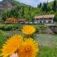 Pensiunea Cheile Șugăului, Bicaz Chei - Foto 1