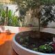 Athens Studio, Atenas - Foto 3