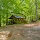 Hike, Soak and Unwind in Nature Blue Ridge Cabin Marion - Photo 3