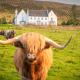 Alexander House 24 - Self Catering, Auchterarder - Fotografie 1
