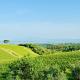 Libertas Tuscan Hideaway, San Sano (fotografie 9)