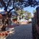 The Oaktree House, Shimla - Foto 9
