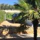 Casa Natura with swimming pool, Kaštelir (Castellier) (foto 8)