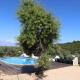Countryside Villa in Silves, Silves (zdjęcie 3)