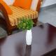 Villa 43, Malindi-Easy pool and beach access., Malindi - Fotografie 3