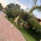 Duplex Marrakech Palmeraie, Marakéš (fotografie 6)