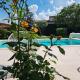 Petit gite de Provence, Mazan (photo 4)