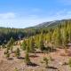 Beaver Run Resort 4516 by Great Western Lodging, Breckenridge - Fotografie 5