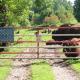 Hare Pin Inn: w/ fenced yard, Clyde (Foto 9)