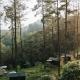 Bobocabin Pacet, Mojokerto, Claket