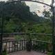 3 branch river, Bukit Lawang - Foto 4