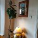 Hidden Hearts Apartment & Hottub, Roscrea (foto 4)
