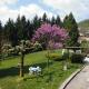B&B I Baloss, Berbenno (Foto 7)