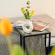GoodLife Studio Apartment, Požega (fotografie 8)
