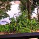 Poseidon Bungalows Khao Lak - Photo 5