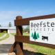 Beefsteak Homestead Kingston - Fotografie 9