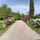 Loft Appia Antica Donna Eugenia, Roma - Foto 5