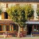 Marronnier 1, Brioux-sur-Boutonne (photo 5)