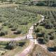 Casetta dell`Uliveto, Macchiascandona (Foto 4)