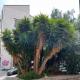 Sicily guest house 2, Palermo - Foto 2