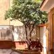 Villa Orlando Mondello, Palerme - Photo 6