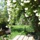 Hiemer 2 Comfortable holiday residence, Sulzberg - Foto 8